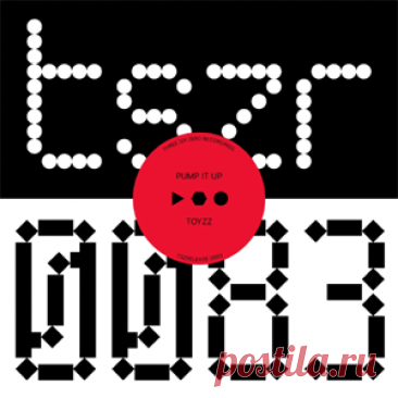 TOYZZ - Pump It Up | 4DJsonline.com