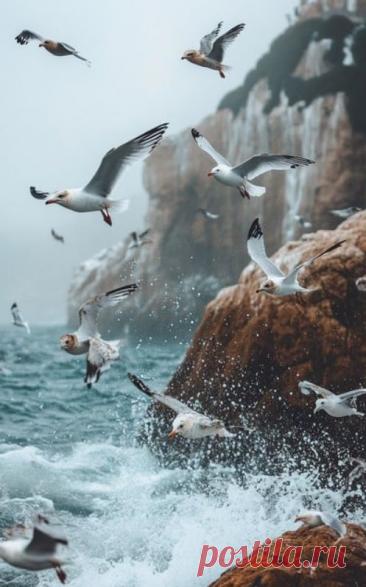 Пин на доске foto