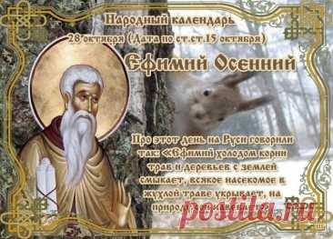 Хочу я, счастья пожелать,
Любви, добра и уваженья,
Чтоб каждый новый день встречать
С великолепным настроеньем! Открытки на День памяти Ефимия Осеннего!