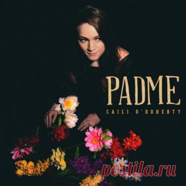DownloadCaili O'Doherty - Padme (2015) - Blues/Jazz - MusicVibez DownloadCaili O'Doherty - Padme (2015) в FLAC/320kbps на MusicVibez — Blues/Jazz Release: Tracklist, Label download . - Musicvibez