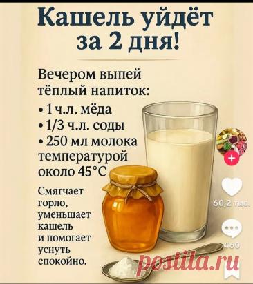 Пин на доске Здоровые органы