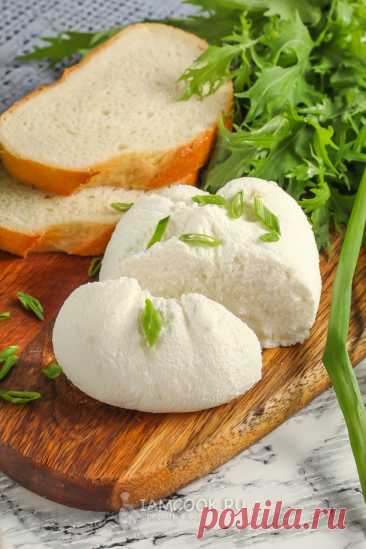 Адыгейский сыр на сыворотке — рецепт с фото пошагово