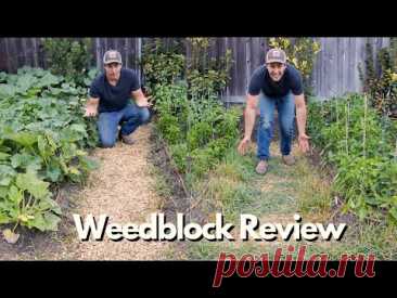 Weed Barrier Review. Two Months After Install.