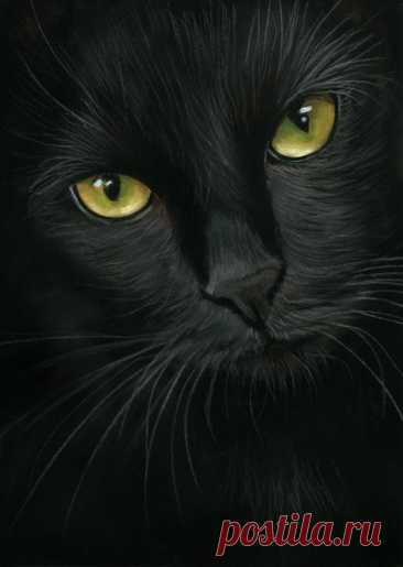 Пин содержит это изображение: black cat portrait- pastel painting by art-it-art on DeviantArt