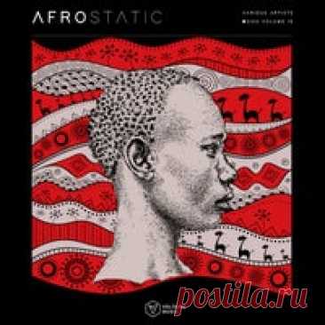 VA - Voltaire Music Pres. Afrostatic Vol. 10 VOLTCOMP1178 - HOUSEFTP