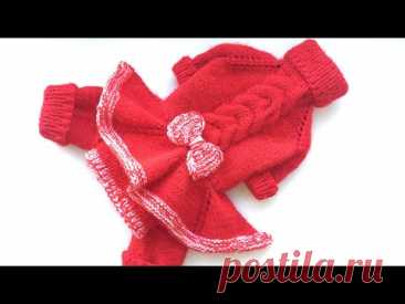 Модные Чихуашечки (вязание для животных, схемы)