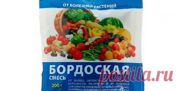 Бордоская смесь изготовление и применение - Сад и огород