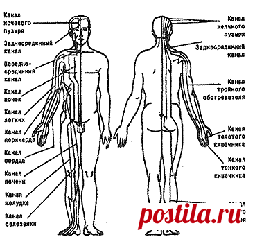 Lifter | Китайцы были правы: энергетические меридианы существуют!