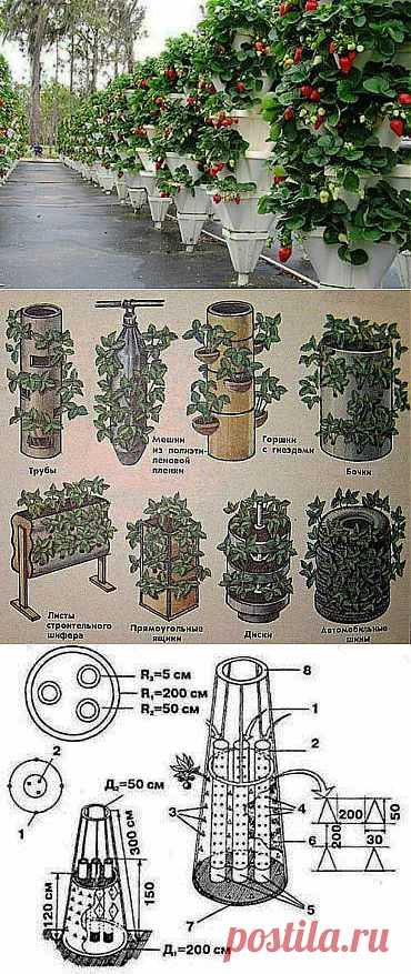 Вертикальное выращивание растений — как сделать вертикальные грядки | Умелые ручки