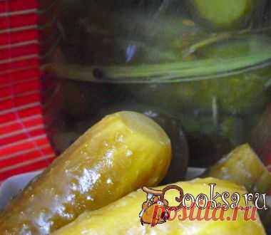 Соленые огурцы с сухой горчицей фото рецепт приготовления