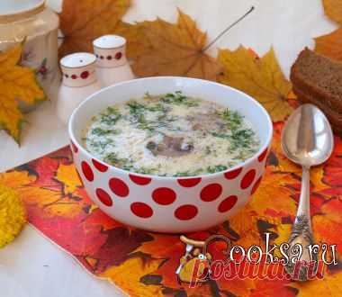 Грибной суп с плавленым сыром фото рецепт приготовления