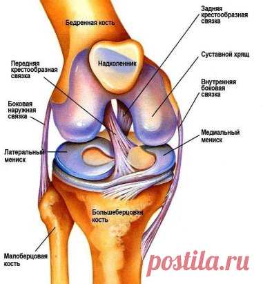 Это скрывали все хирурги! Так лечатся суставы дома за сутки