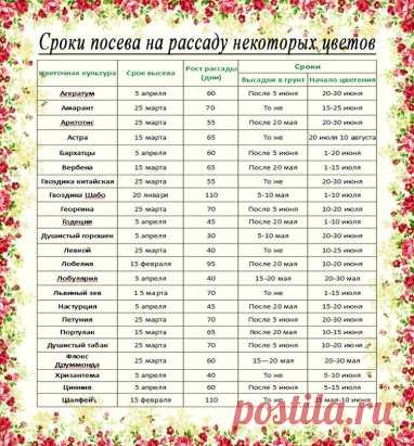 Рассада. Когда и что сажать ?
Ориентировочные даты посева рассаду основных овощных культур для средней полосы России:
Сельдерей. Посадка – 25 мая. Возраст рассады – 70-80 дней, от посева до всходов – до 15 дней. Посев – после 25 февраля.
Сладкий перец. Посадка в теплицу – 5 июня. Возраст рассады – до 70 дней, от посева до всходов – 12-14 дней. Посев – после 10 марта.
Капуста белокочанная ранняя. Посадка – после 20 мая. Возраст рассады – до 50 дней, от посева до всходов – 5...