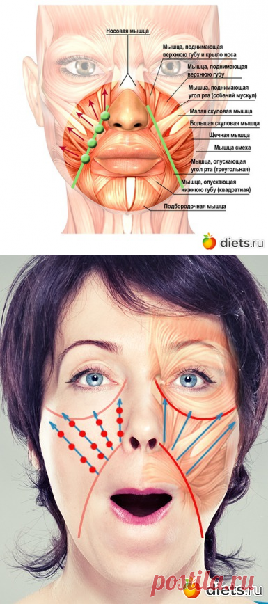 Разглаживаем носогубки: два эффективных массажных приема: Фейскультура: методы естественного омоложения: