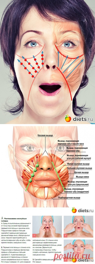 Разглаживаем носогубки: два эффективных массажных приема: Фейскультура: методы естественного омоложения: Группы - diets.ru