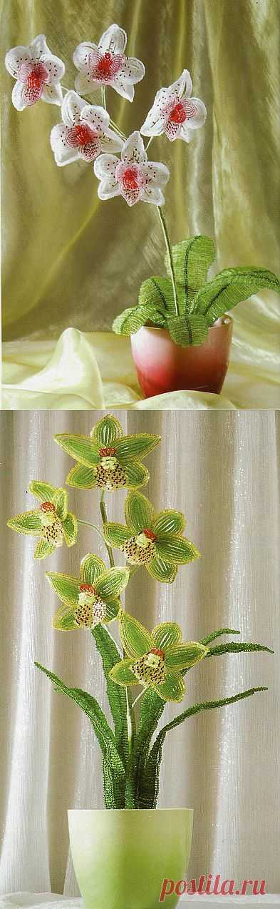 Орхидея из бисера своими руками.