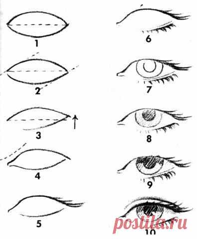 Как нарисовать глаза:
