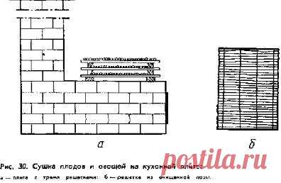 Как сушить фрукты и ягоды | Мастер на все руки