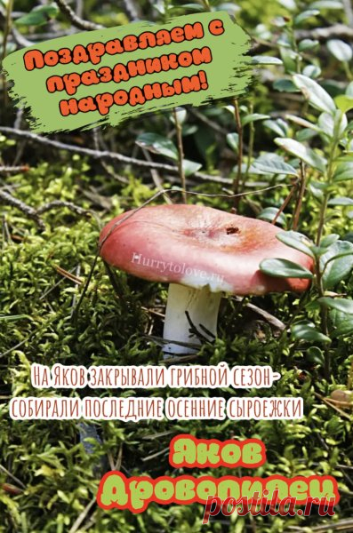 Желаю счастья и добра,
Благословенного тепла,
Здоровья крепкого, успеха,
Улыбок, юмора и смеха. Открытки на День памяти Якова Дровопилеца!