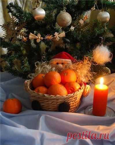 Мандарин – оранжевое чудо с ароматом зимы.