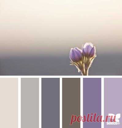 Design Seeds® | find your palette