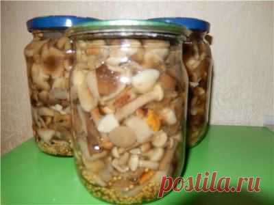 Маринованные грибы с горчицей - Грибы - <<- ПОГРЕБОК->> - Рецепты - Персональный сайт
