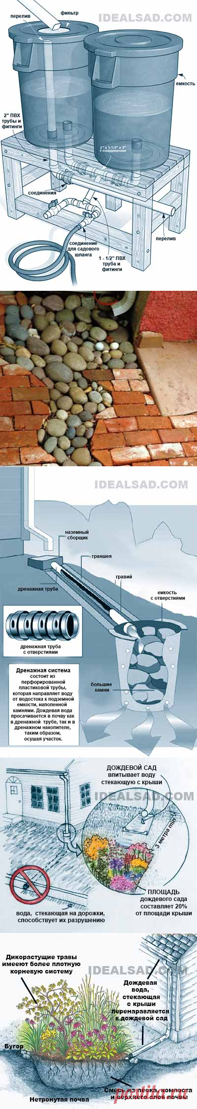 Дождевая вода на даче: сбор, отвод и использование
