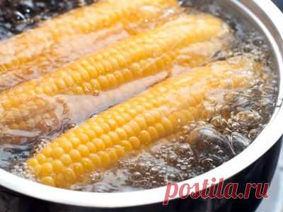 Как варить кукурузу на Gastronom.ru
