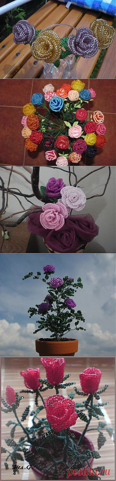 Розы из бисера: мастер класс +ФОТО