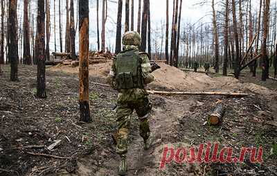 Экс-военные Народной милиции ЛНР могут оформить вторую пенсию. Получить ее бывшие военные также могут при наличии группы инвалидности, отметили в отделении Соцфонда России по республике