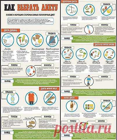 Плюсы и минусы популярных диет