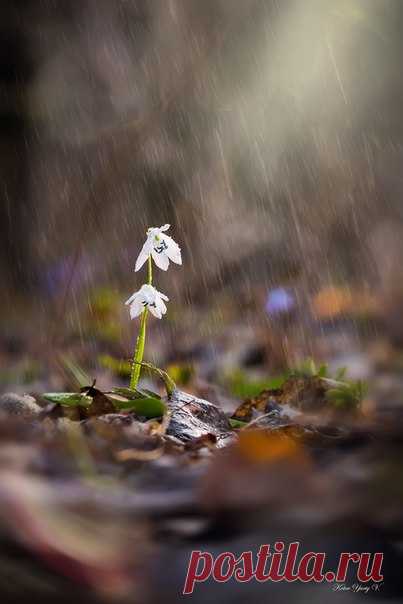 Первые дни тепла. Автор фото — Юрий Котов: nat-geo.ru/photo/user/296973/