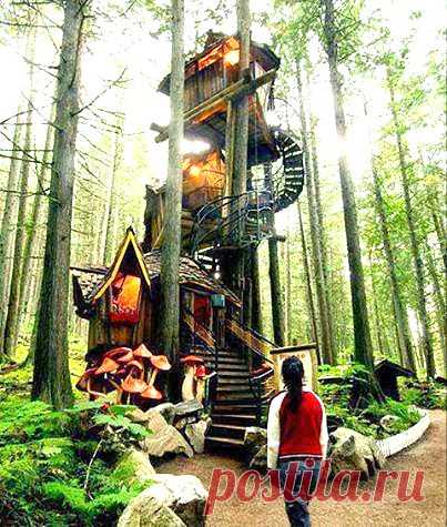 Amazing World – Google+ - Amazing Tree House Hawai. Please Follow: +Amazing World ﻿