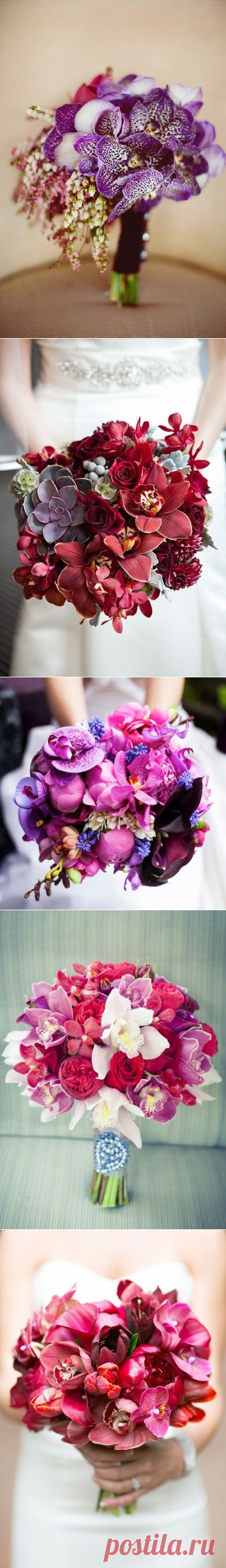 Чарующие орхидеи

#Свадебные_букеты_Prowedding 
Pro Wedding