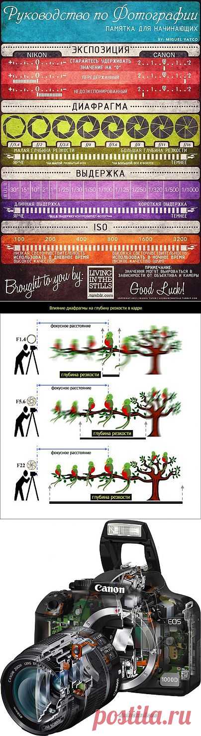 Несколько полезных табличек для начинающих фотографов.