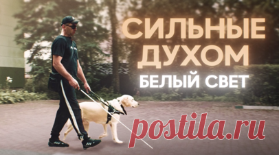 Зрения нет, но жизнь есть: на RT состоялась премьера фильма Регины Парпиевой о незрячих ветеранах СВО. Документальный фильм «Сильные духом. Белый свет» рассказывает историю трёх бойцов, получивших тяжёлые ранения на СВО и потерявших зрение. Молодые, сильные, с мечтами о будущем, они вынуждены привыкать к совершенно новому ощущению мира. Режиссёр Регина Парпиева называет этот фильм мотивационным: автор хотела помочь ветеранам СВО найти новую опору, а в итоге работа над картиной спасла жизнь и…