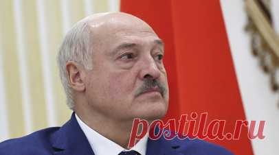 Лукашенко посоветовал Трампу не переживать из-за Нобелевской премии мира. Белорусский лидер Александр Лукашенко посоветовал президенту США Дональду Трампу не переживать из-за того, что ему в этом году не вручили Нобелевскую премию мира. Читать далее