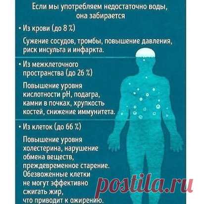 Вот почему стоит пить воду натощак! Никогда бы не подумал, что это так полезно…