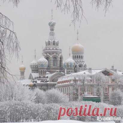 Зимняя сказка в Санкт-Петербурге.