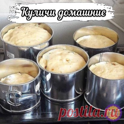 Куличи домашние
По вашим многочисленным просьбам
Продукты берём свежие, самые лучшие! Яйца , молоко, сметанку и масло, лучше всего домашние.
Ингредиенты:
Молоко 500 мл
Сахар 500гр
Сметана 150гр
Масло сливочное 200гр
Яйца 4 шт крупные
Дрожжи свежие 50гр
Соль 1 чайная ложка
Мука пшен. просеянная около 1,5 кг
Изюм белый ( киш -- миш) 1 стакан
Курага 200гр ( нарезать кубиками)
Экстракт ванили 2 столовые ложки
Цедра апельсина и лимона
Мускатный орех
Шафран
Все ингредиенты должны б