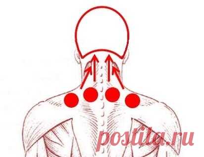 В нужное место надавишь – шею и голову поправишь | ТЫ КОСМОС | Яндекс Дзен