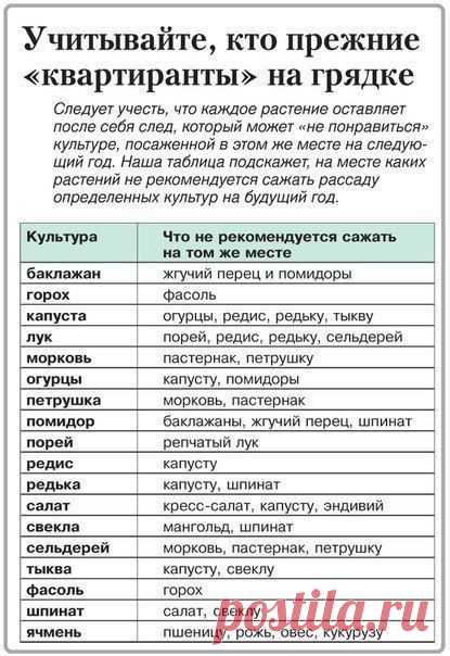 ВО САДУ ЛИ, В ОГОРОДЕ - с любовью к земле