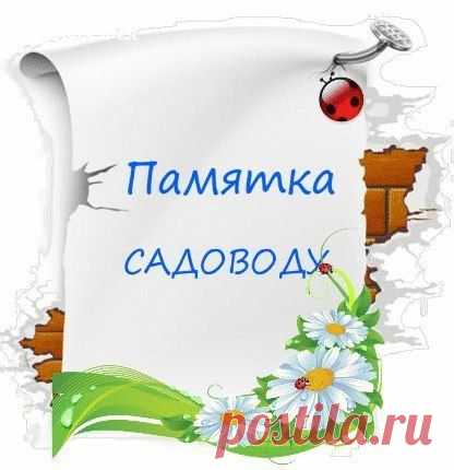 Памятка садоводу | Дачный участок