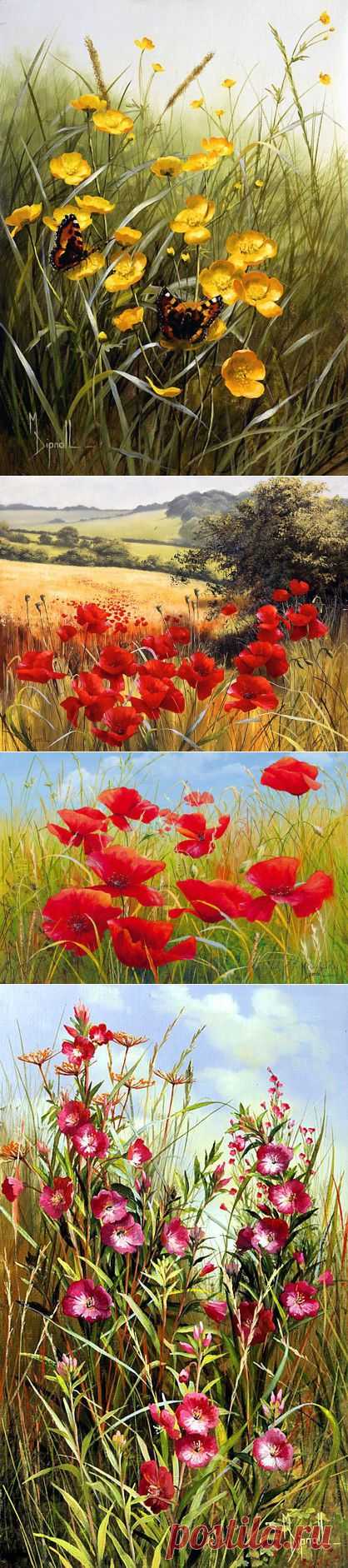 Английская художник-самоучка Mary Dipnall | Полевые цветы,полевые, Разноцветье средь трав и росы...