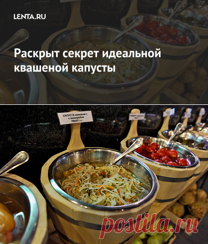 Раскрыт секрет идеальной квашеной капусты: Еда: Из жизни: Lenta.ru
