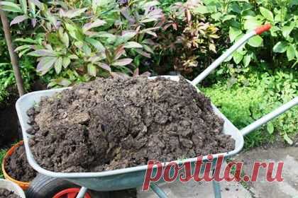 Как правильно удобрять разные типы почв | Огород без хлопот