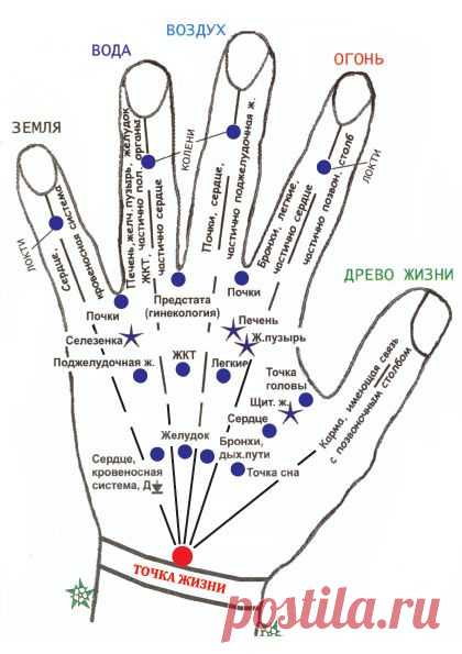 Самомассаж точек на кистях рук | Массаж.ру