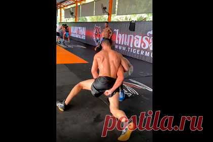 Новый Хабиб провел спарринг с украинским чемпионом Bellator. Шведский боец смешанного стиля (MMA) чеченского происхождения Хамзат Чимаев, известный как Новый Хабиб, показал в Instagram тренировочный процесс. Чимаев провел спарринг с украинским чемпионом Bellator Ярославом Амосовым. «Вся жизнь — это борьба!» — подписал видео боец.