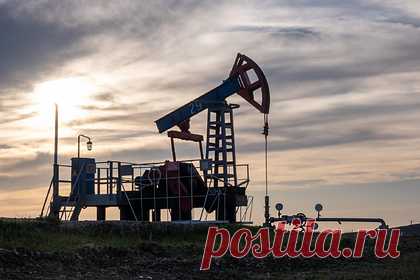 России предсказали катастрофу в случае отказа мира от углеводородов. Экономист Алексей Коренев назвал потенциальный отказ от углеводородов в мире «настоящей катастрофой» для российских нефтяников и газовиков. Чтобы избежать проблем в экономике, где порядка 50 процентов экспорта приходится на углеводороды, России уже сейчас необходимо начинать работу над реформами.