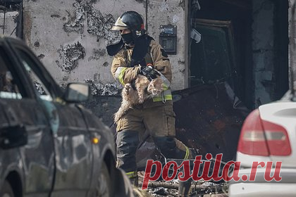В Кривом Роге раздался взрыв. На Украине в городе Кривой Рог Днепропетровской области раздался взрыв. «По поводу взрыва. Без конкретики, но все нормально», — сообщил мэр города Александр Вилкул. Ранее в Кривом Роге получила повреждения подстанция «Укрэнерго». По данным компании, в результате были обесточены бытовые и промышленные потребители.